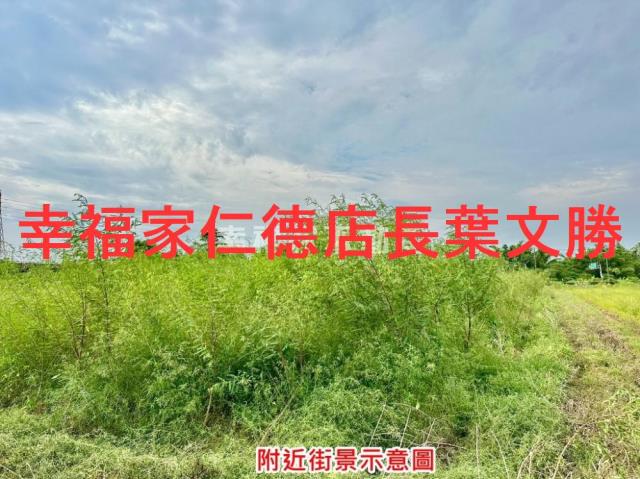 新化農地-14