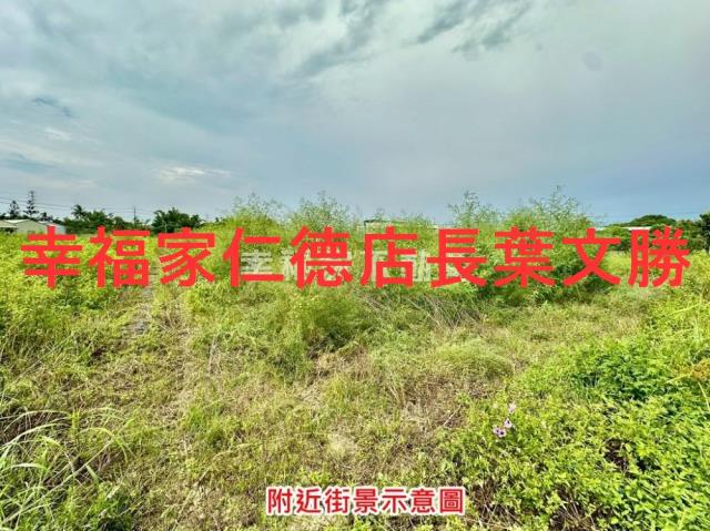 新化農地-4