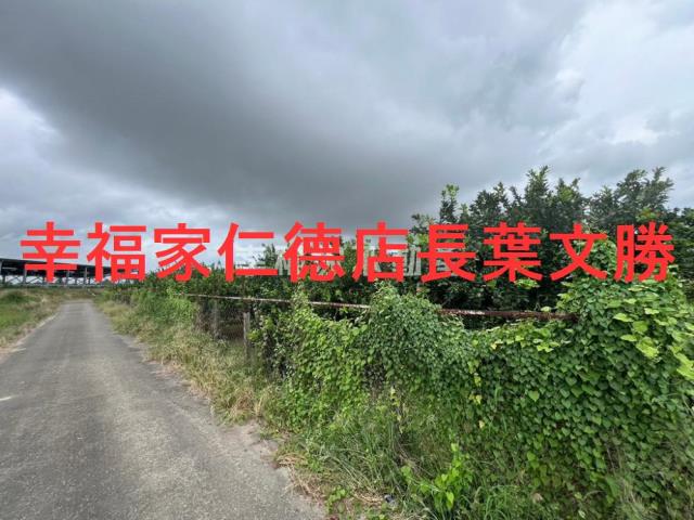 台南麻豆農地-0