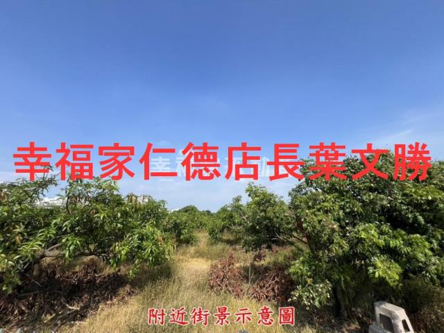 仁德農地-8