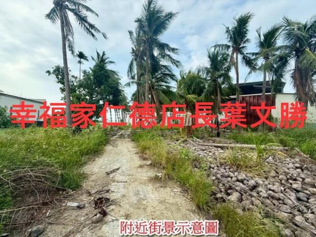安南農地-12