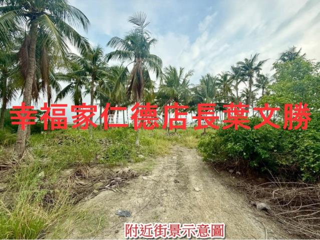 安南農地-3
