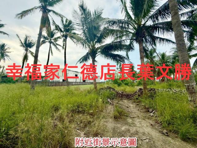 安南農地-4