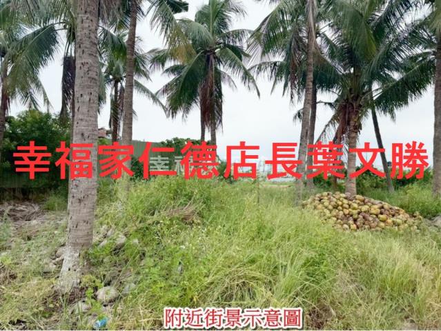 安南農地-8