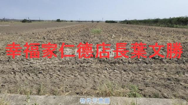 麻豆農地-13