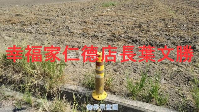 麻豆農地-2