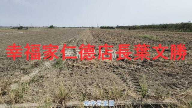麻豆農地-4