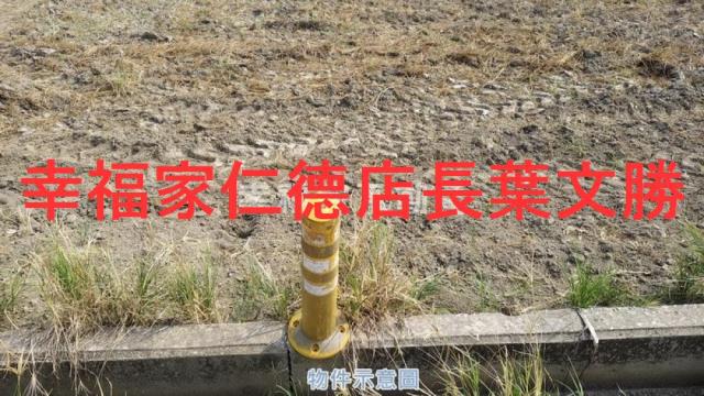 麻豆農地-5