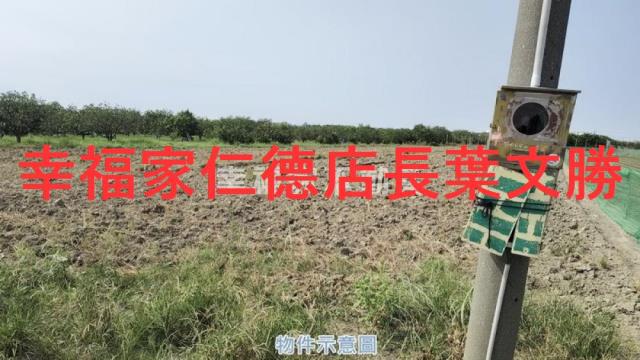 麻豆農地-6