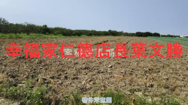 麻豆農地-8