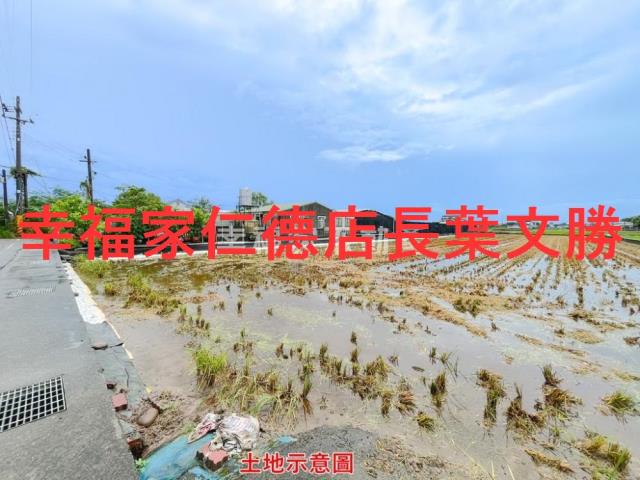 歸仁農地-2