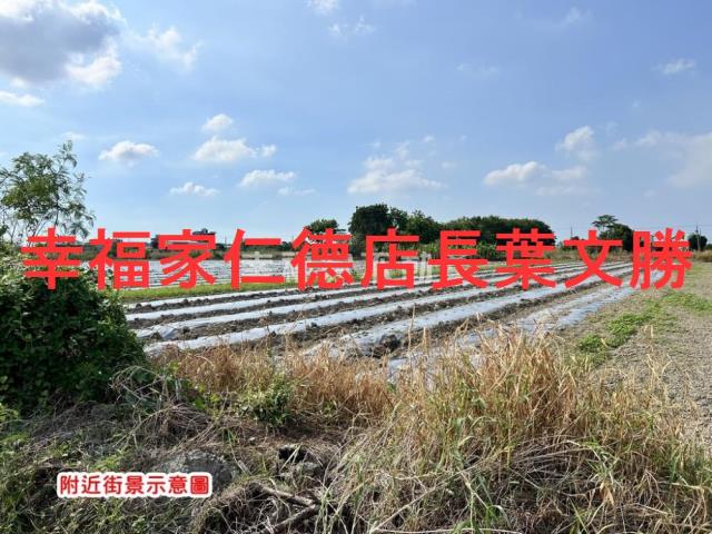 安定農地-9