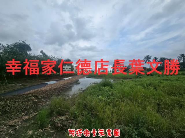 歸仁農地-13