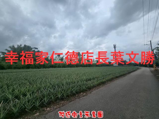 歸仁農地-2