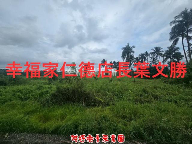 歸仁農地-3