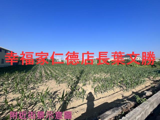 佳里農地-11