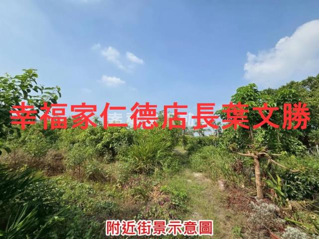 台南新市變更住宅區為農業-13