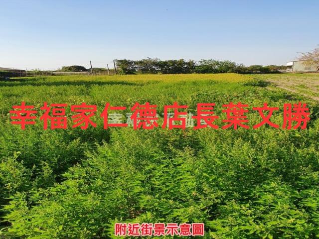 台南善化農地-14