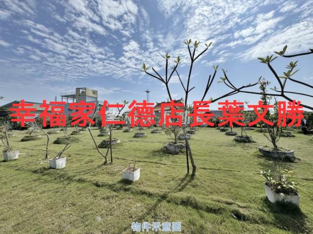 台南七股農地-9