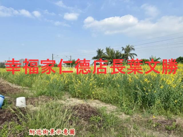 台南新市農地-12