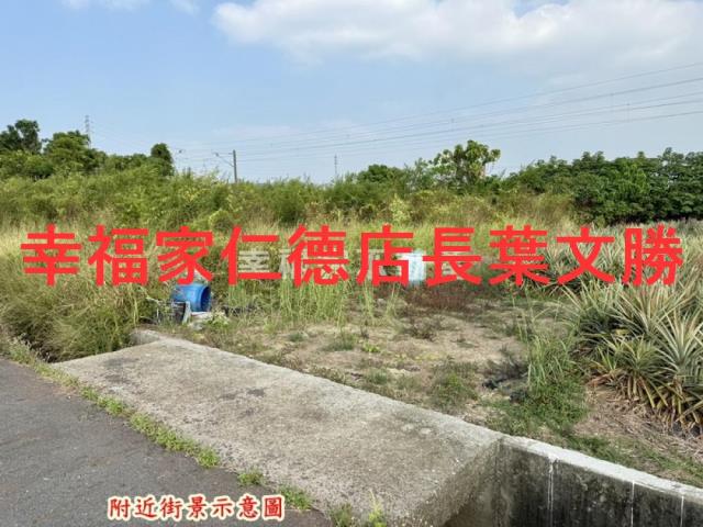 台南新市農地-13