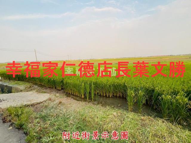 台南後壁農地-6