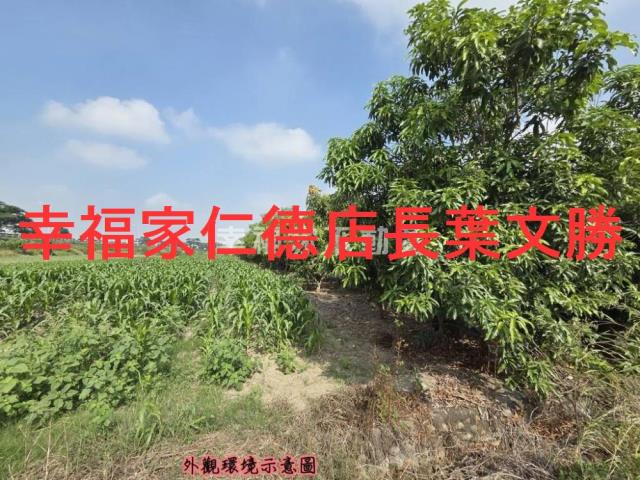 台南安定農地-1