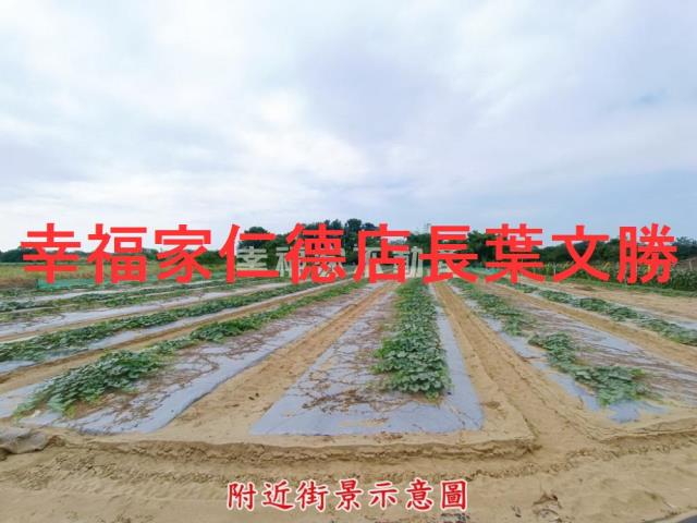 台南歸仁農地-5