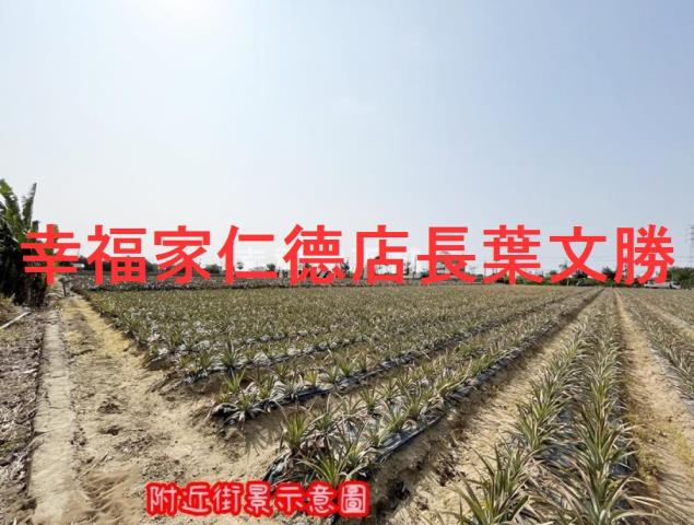 台南山上農地-11