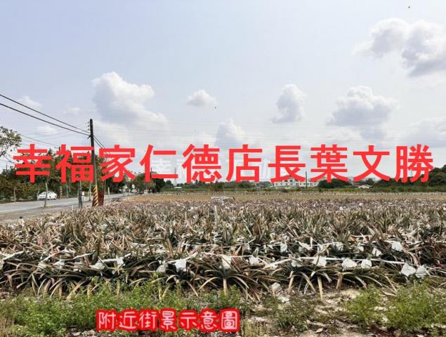 台南山上農地-3