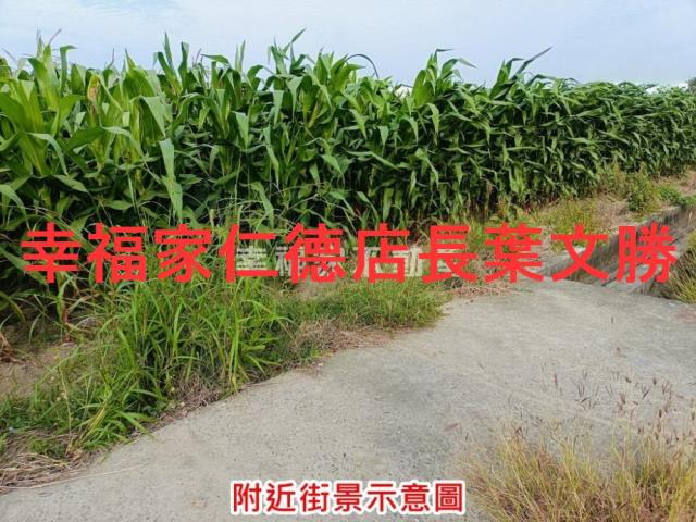 台南西港農地-14