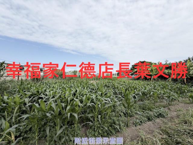 台南佳里農地-11