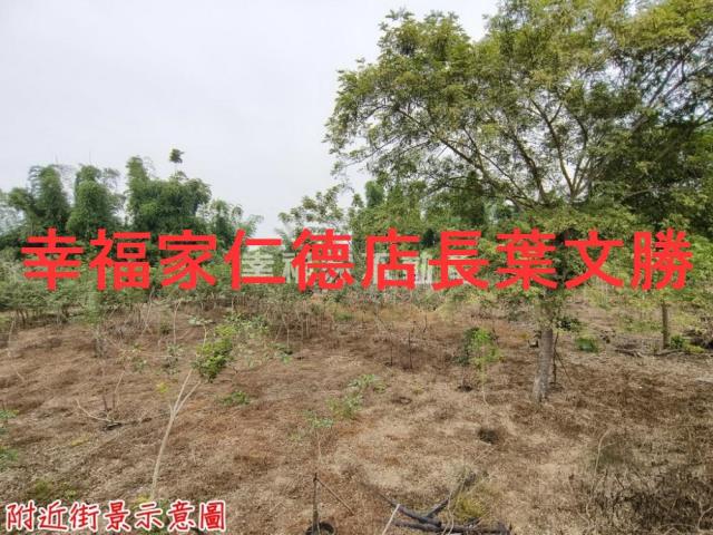 台南新市農地-14