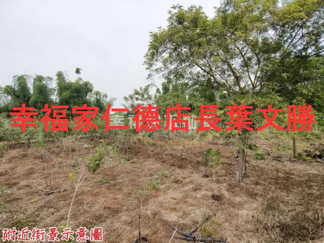 台南新市農地-2