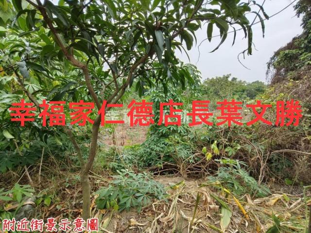 台南新市農地-5