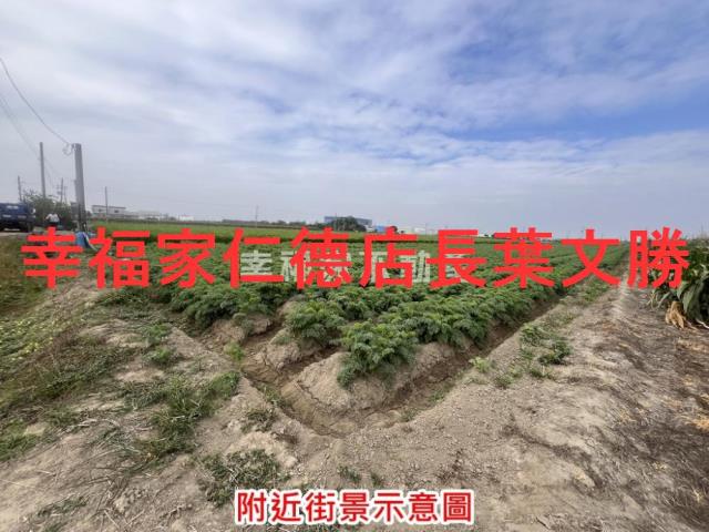 台南西港農地-14