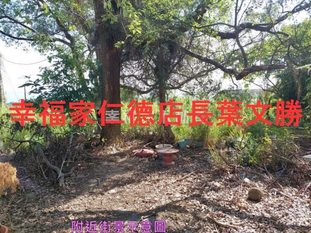 台南玉井農地-8