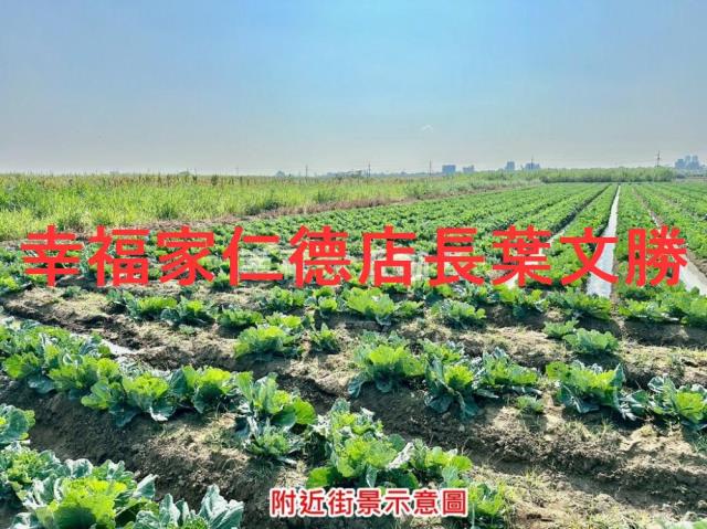 台南善化農地-13