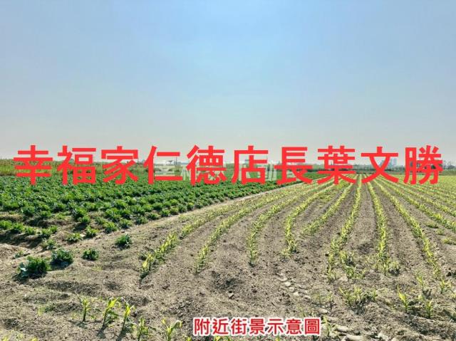 台南善化農地-1