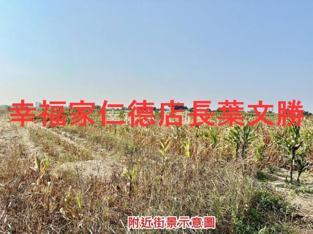 台南善化農地-4