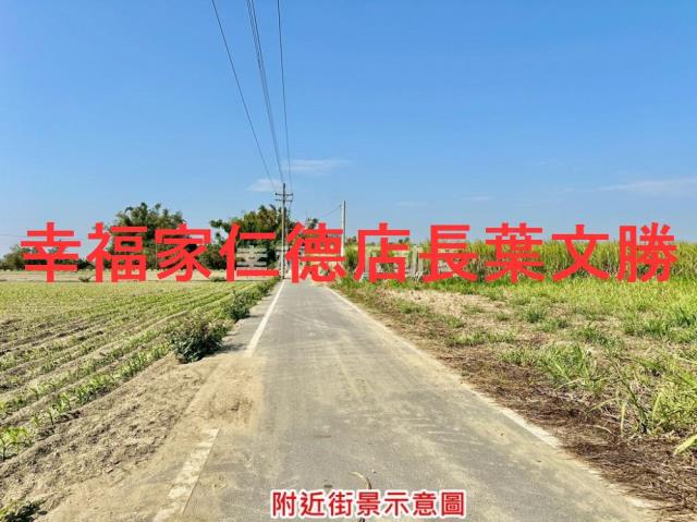 台南善化農地-8