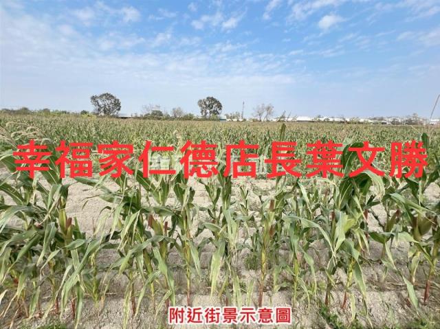 台南七股農地-9