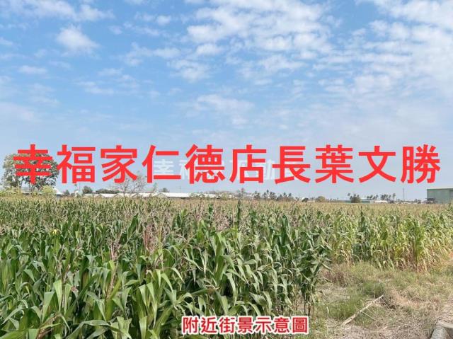 台南七股農地-4