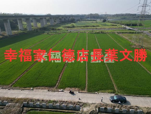 官田農地-3