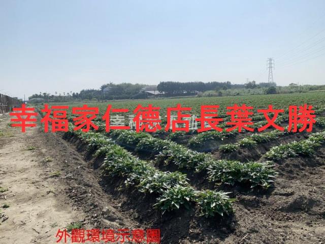 善化農地-0