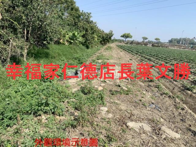善化農地-6
