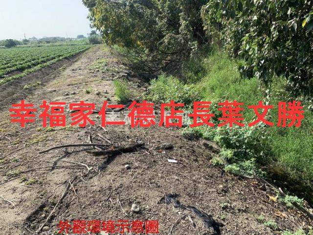 善化農地-1
