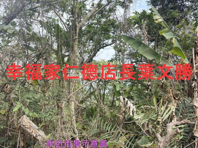 台南白河農地-11