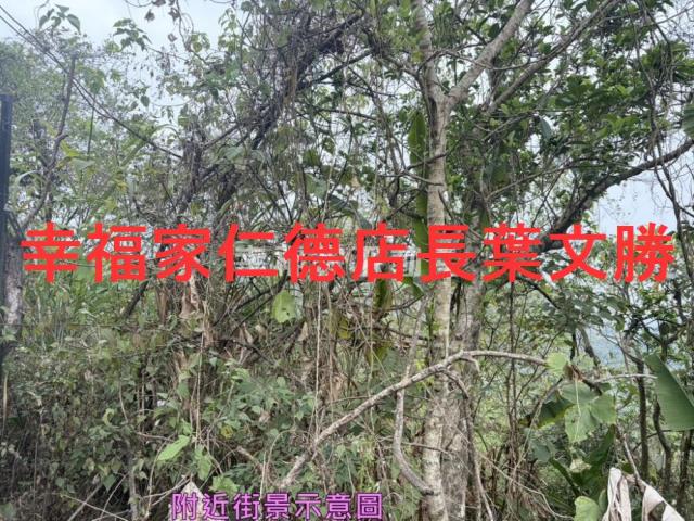 台南白河農地-4