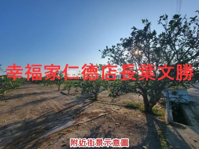 台南麻豆農地-6